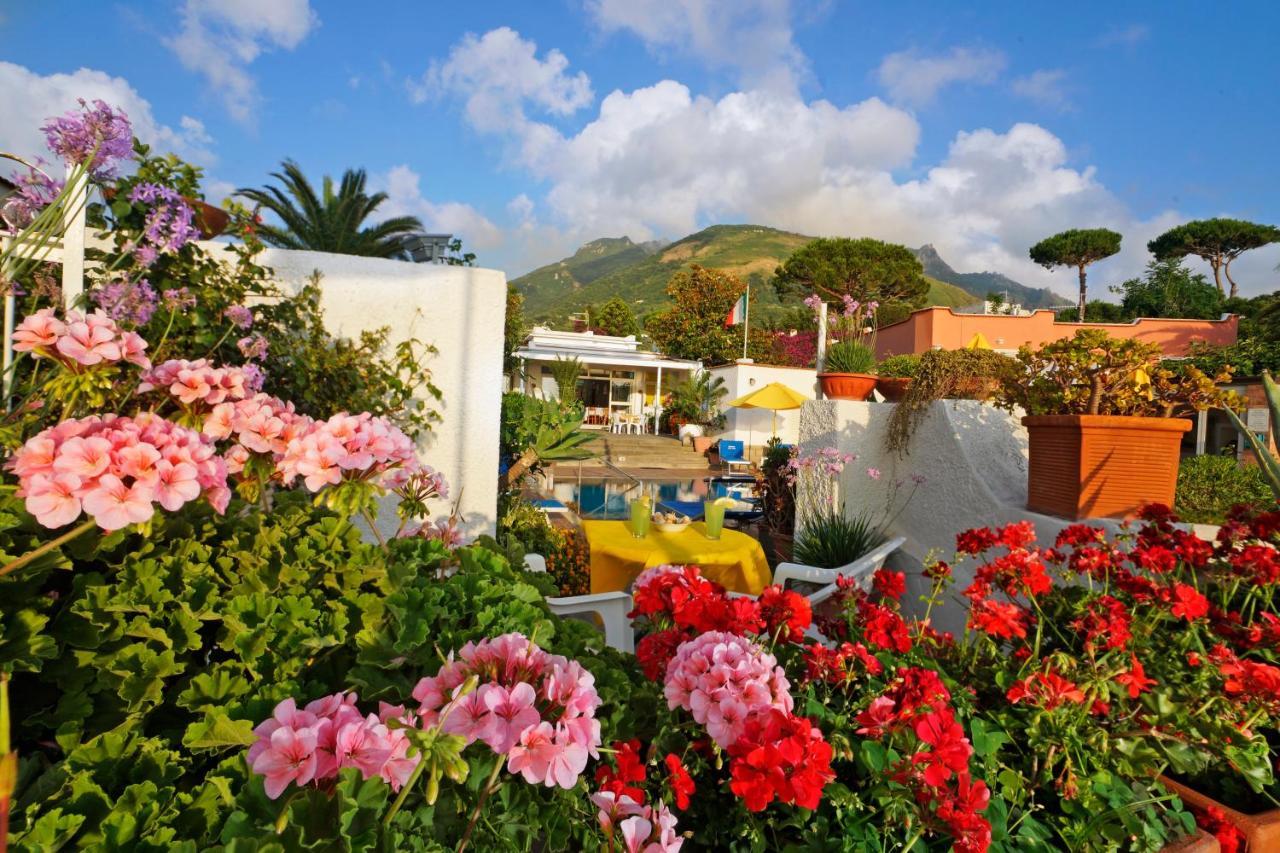 Hotel Mena Forio di Ischia